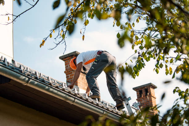 Best Roof Waterproofing Services  in Claxton, GA