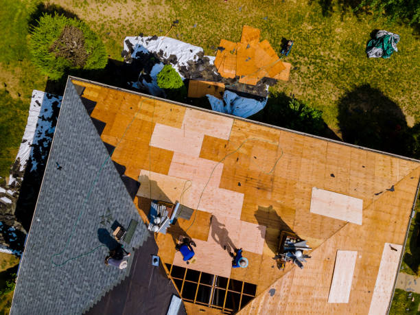 Best Roof Maintenance Services  in Claxton, GA