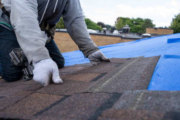 Best Commercial Roofing Services  in Claxton, GA