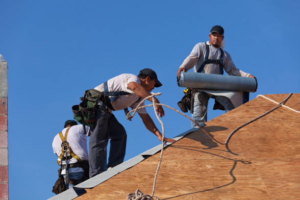 Best Commercial Roofing Services  in Claxton, GA