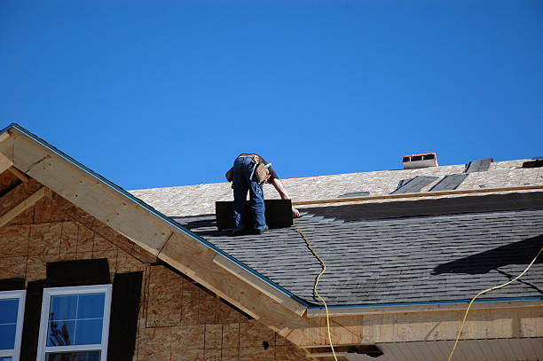 Best Roof Gutter Cleaning  in Claxton, GA